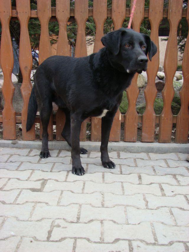 982061600047178